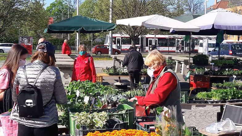 V historickém centru Ostravy se trhy otevřou až v květnu